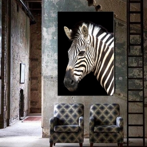 Zebra- Kanvas Tablo Dekoratif Tek Parça